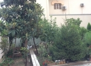 İcarəyə verilir 15 otaqlı 1000 m2 obyekt Nəsimi m.