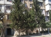 Satılır 2 otaqlı 48 m2 köhnə tikili 8 km
