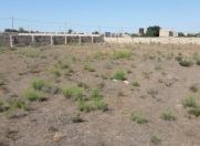 Satılır 5 sot torpaq Türkan