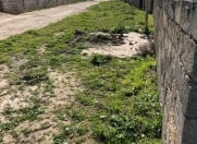 Satılır 10 sot torpaq Məhəmmədli