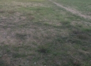 Satılır 30 sot torpaq Bilgəh