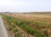 Satılır 13 sot torpaq Novxanı