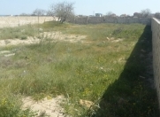 Satılır 12.5 sot torpaq Pirşağı