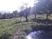 Satılır 30 sot torpaq İsmayıllı