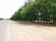 Satılır 3 sot torpaq Gəncə