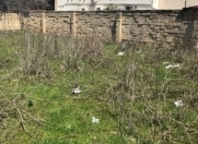 Satılır 10 sot torpaq Novxanı