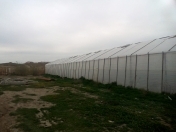 Satılır 5 otaqlı 15000 m2 obyekt Perekeşkül