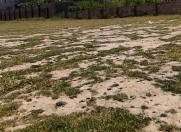 Satılır 10 sot torpaq Saray