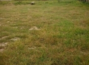 Satılır 3 sot torpaq Saray