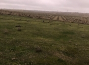 Satılır 80 sot torpaq Məhəmmədli