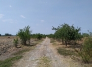 Satılır 285 sot torpaq Xudat