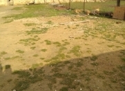 Satılır 4 sot torpaq Qala