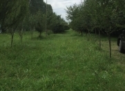 Satılır 105 sot torpaq Xudat