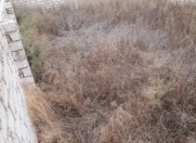 Satılır 5 sot torpaq Buzovna