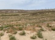 Satılır 500 sot torpaq Məhəmmədli