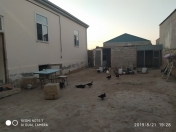 Satılır 5 otaqlı 300 m2 köhnə tikili Hövsan