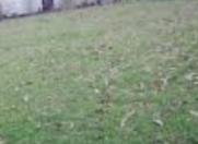 Satılır 10 sot torpaq Sumqayıt