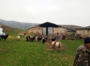 Satılır 2 otaqlı 600 m2 obyekt Qazax