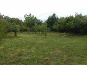 Satılır 8 sot torpaq İsmayıllı