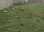 Satılır 10 sot torpaq Şağan