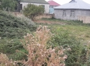 Satılır 6 sot torpaq Qəbələ