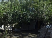 Satılır 25 sot torpaq Əhmədli