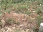 Satılır 2 sot torpaq Çiçək