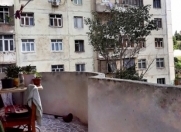 Satılır 3 otaqlı 92 m2 yeni tikili 8 mkr