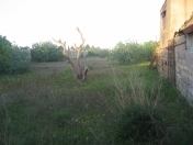 Satılır 17 sot torpaq Maştağa