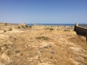 Satılır 6 sot torpaq Badamdar