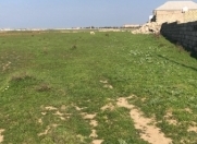 Satılır 4 sot torpaq Məhəmmədli