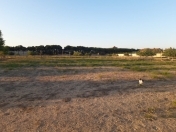 Satılır 110 sot torpaq Buzovna