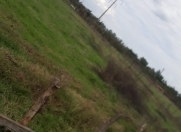 Satılır 9 sot torpaq Lənkəran