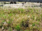 Satılır 3 sot torpaq Elmlər Akademiyası m.