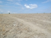 Satılır 200 sot torpaq Xaçmaz