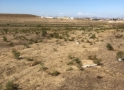 Satılır 100 sot torpaq Saray