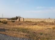 Satılır 100 sot torpaq Müşfiqabad