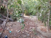 Satılır 4 sot torpaq Qaraçuxur