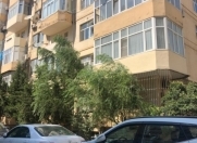 İcarəyə verilir 3 otaqlı 140 m2 ofis Şah İsmayıl Xətai m.