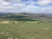 Satılır 24 sot torpaq Şamaxı