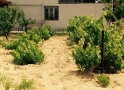 Satılır 4 otaqlı 170 m2 bağ evi Novxanı