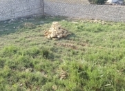 Satılır 6 sot torpaq Novxanı