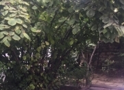 Satılır 5 otaqlı 150 m2 həyət evi Rəsulzadə
