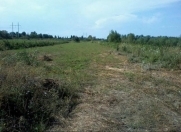 Satılır 60 sot torpaq Qusar