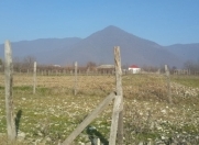 Satılır 20 sot torpaq Qax