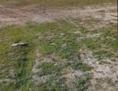 Satılır 10 sot torpaq Müşfiqabad