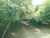 Satılır 56 sot torpaq Oğuz