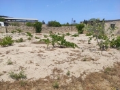 Satılır 25 sot torpaq Nardaran