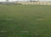 Satılır 10 sot torpaq Türkan