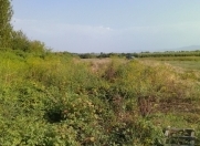 Satılır 4000 sot torpaq Xaçmaz